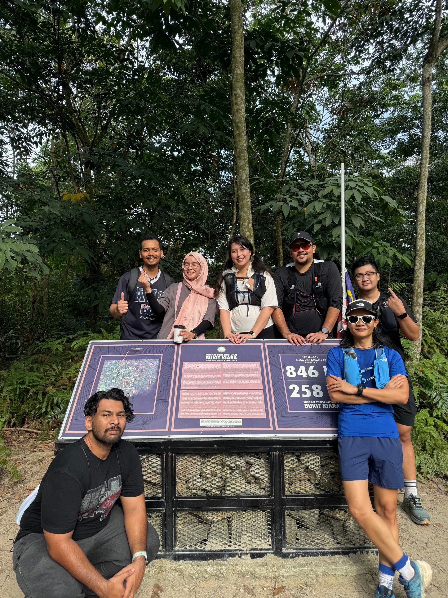 Forest Bathing Therapy