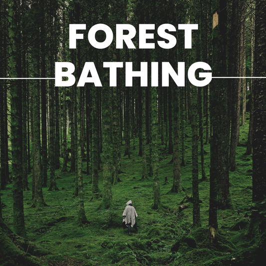 Forest Bathing Therapy