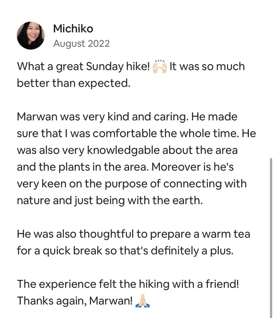 Forest Bathing Therapy